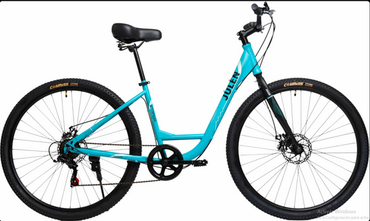 Bicicleta 29 Julen Strada Disc 1x7vel