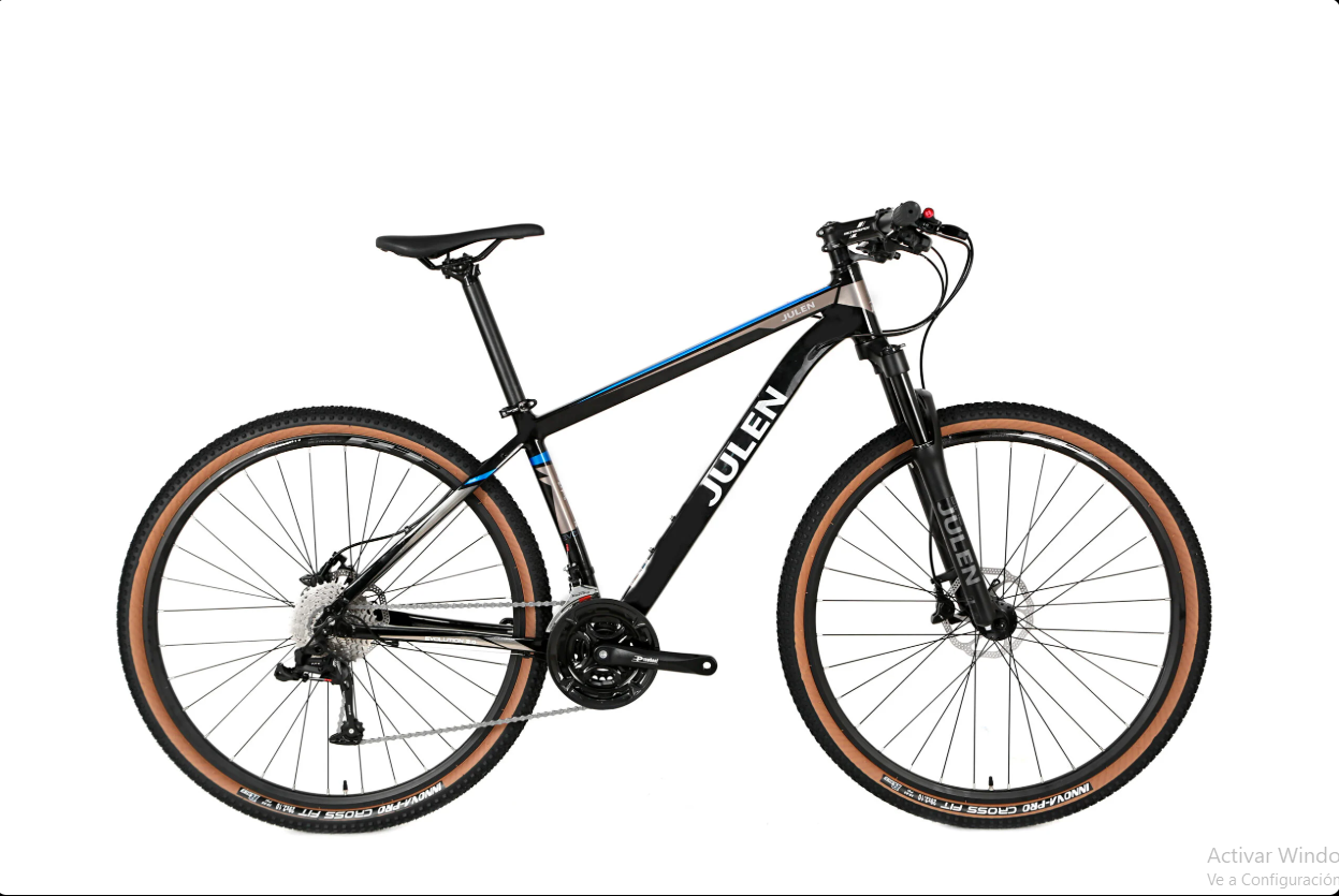 Bicicleta 29 Julen Evolution 2.0