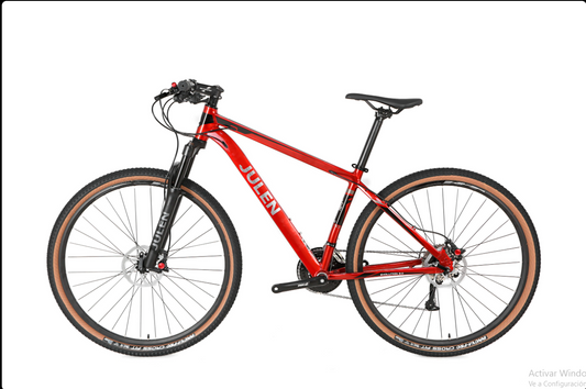 Bicicleta 29 Julen Evolution 2.0