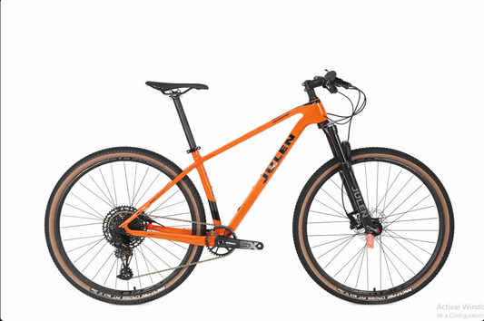 Bicicleta 29 Julen Control Carbon 1×12